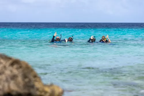 dolce vita homes bonaire diving 1